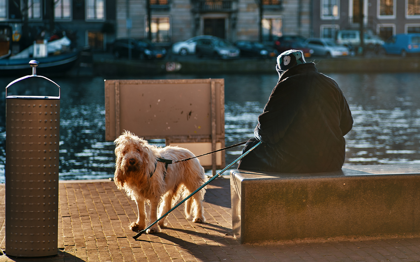 Travel With Your Best Friend On International Dog Day